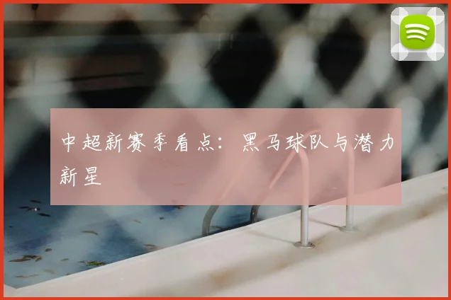 中超新赛季看点:黑马球队与潜力新星
