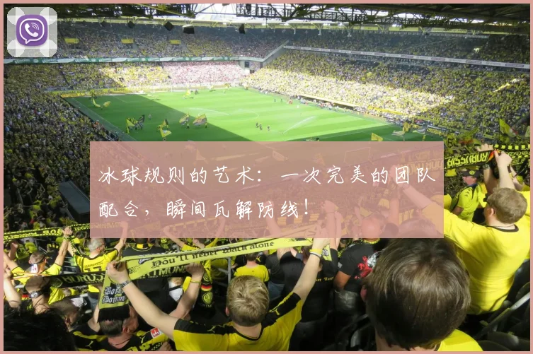 冰球规则的艺术:一次完美的团队配合,瞬间瓦解防线!