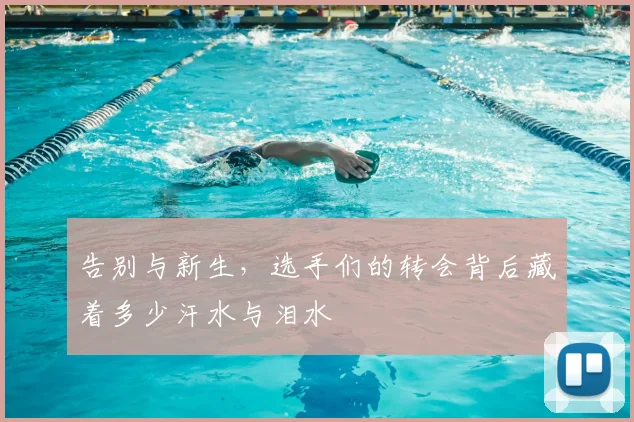 告别与新生,选手们的转会背后藏着多少汗水与泪水